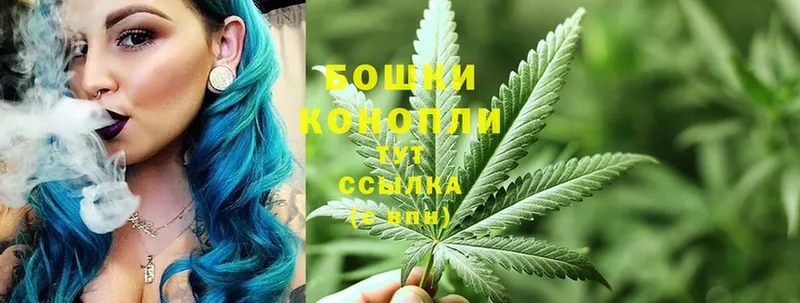 Бошки марихуана LSD WEED  площадка формула  mega рабочий сайт  Котовск  купить наркотик 